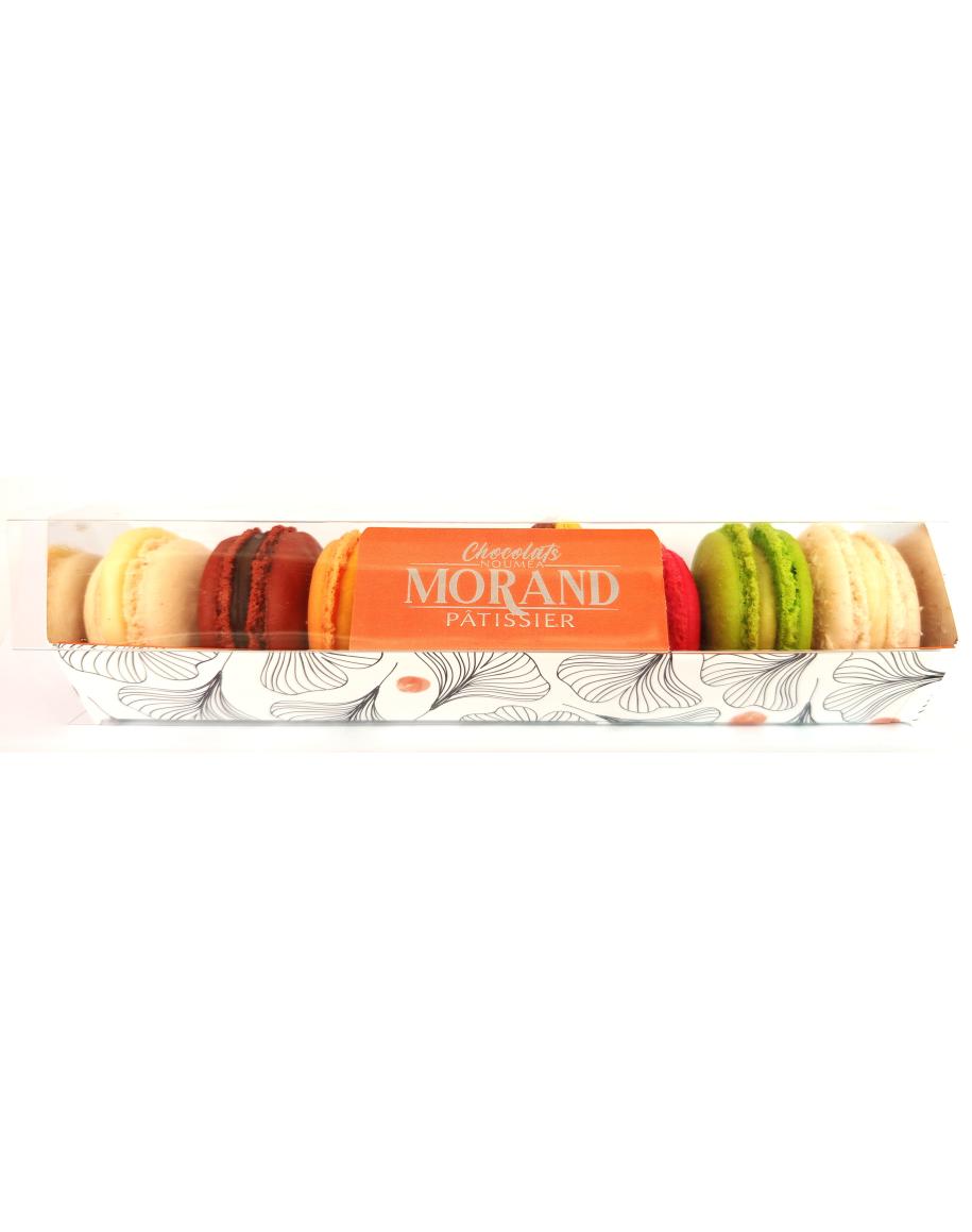 Réglette Ginkgo de 8 macarons assortis