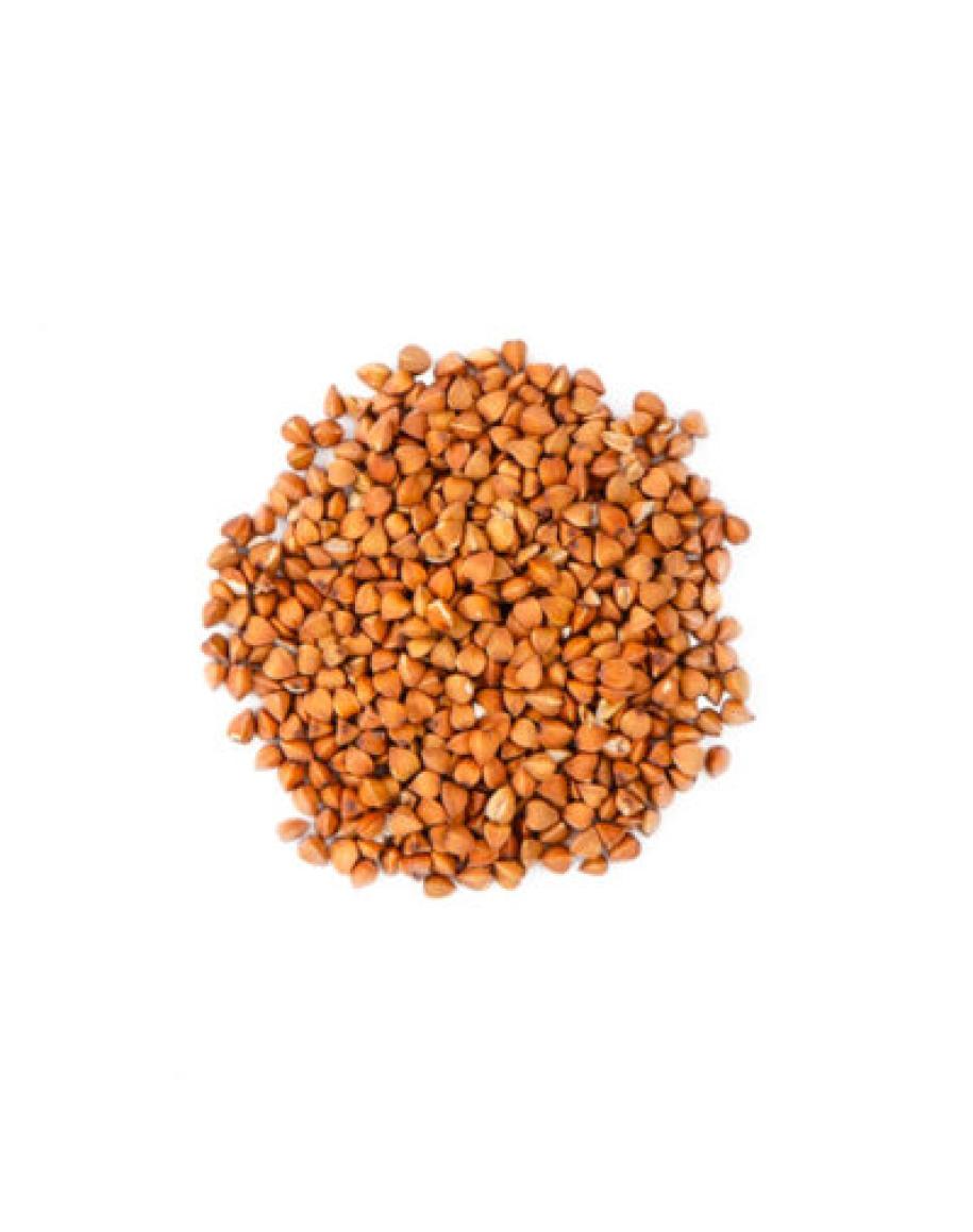 Infusion Régal de Sobacha Bio