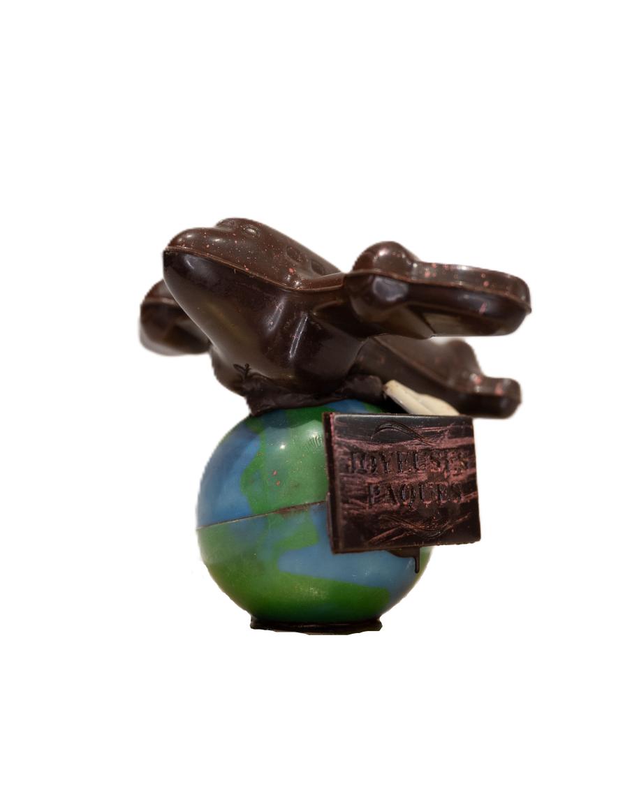 Avion noir non garni