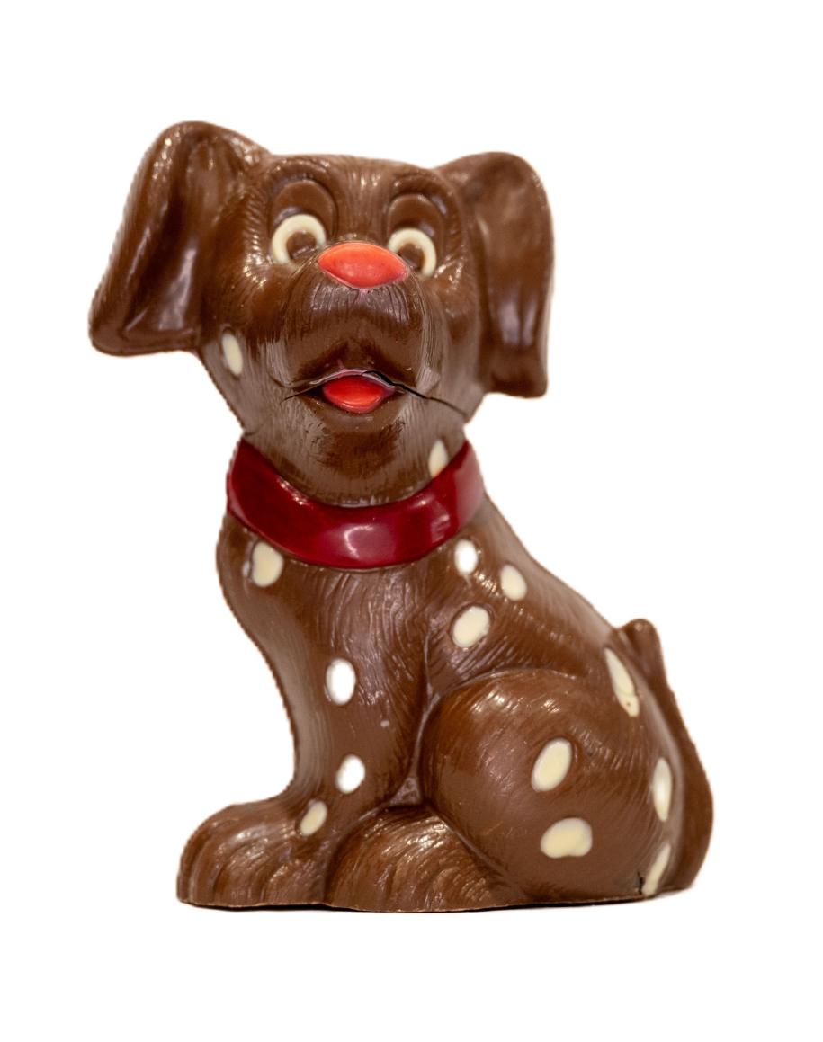 Chien Dalmatien lait garni