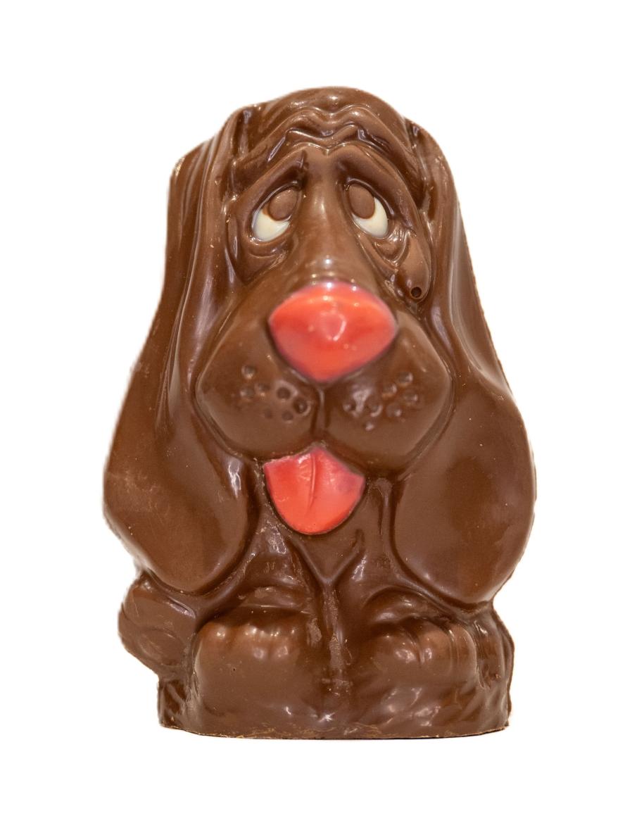 Chien Droopy lait garni